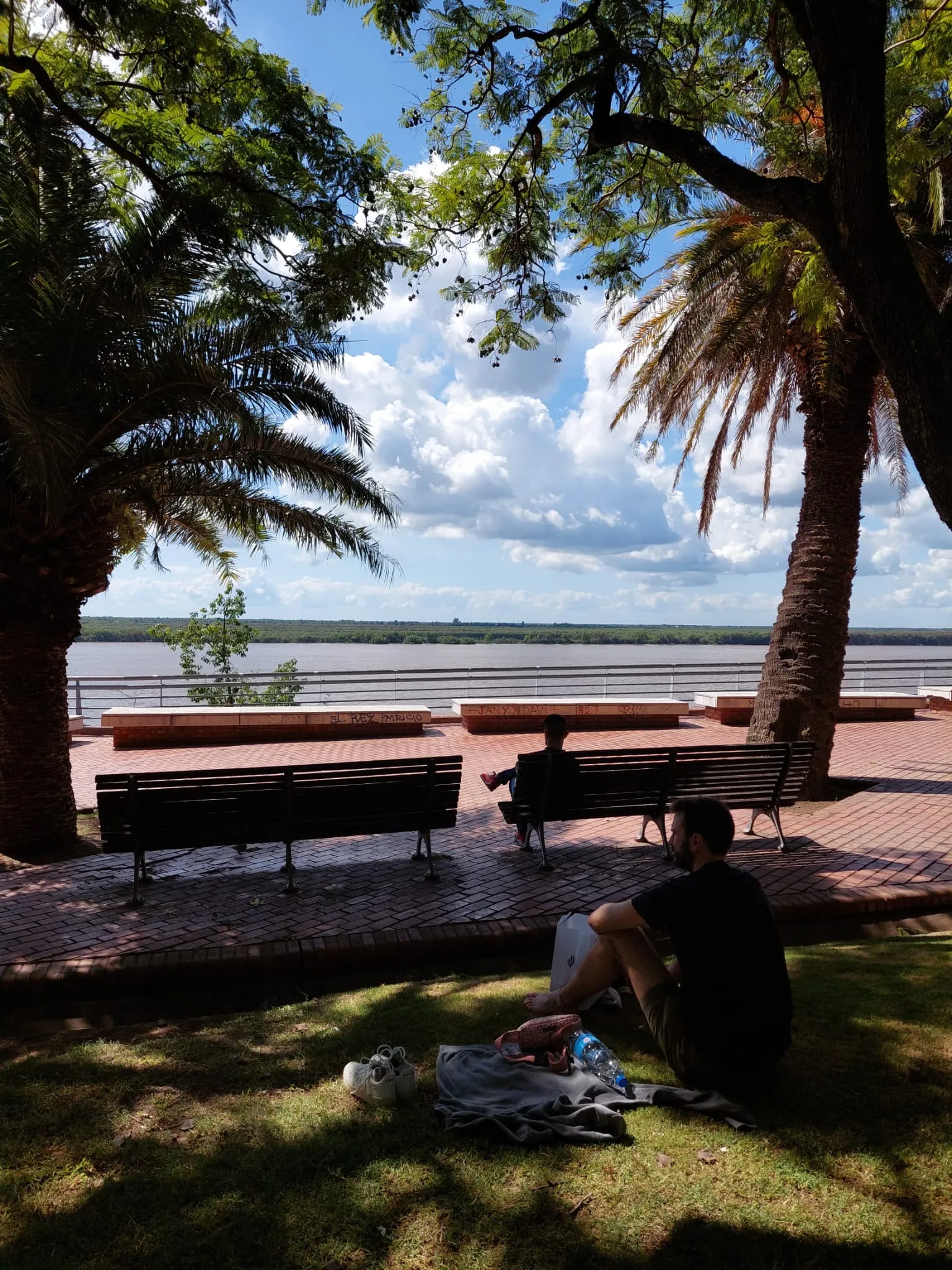 Blick über einen See, im Vordergrund eine Palme