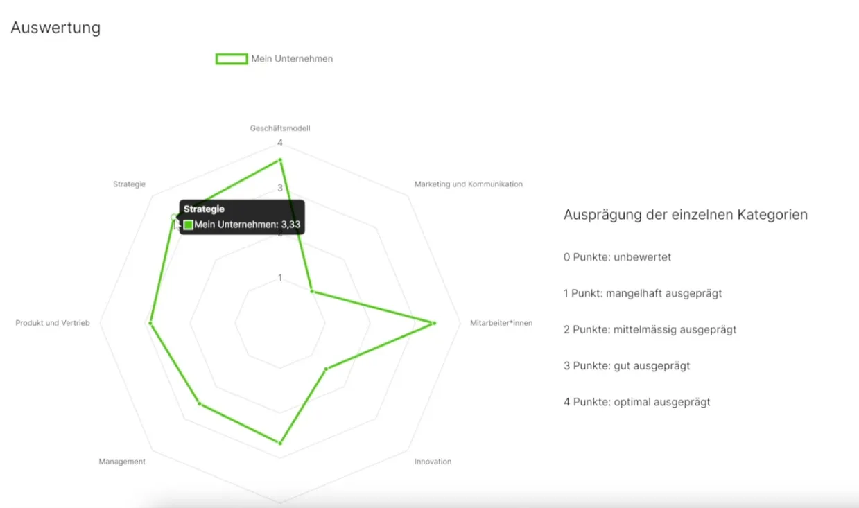 ITZ BusinessCompass: Auswertung als Spider-Diagramm mit Punkteskala von 0 bis 4